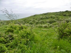SZ0277 : Durlston, gully