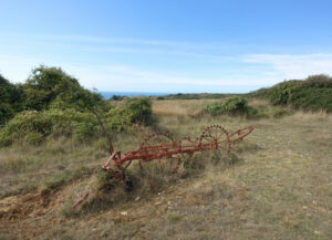 SZ0277 : Old Implement, Durlston Country Park
