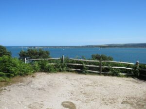 SZ0287 : Viewpoint on Brownsea Island