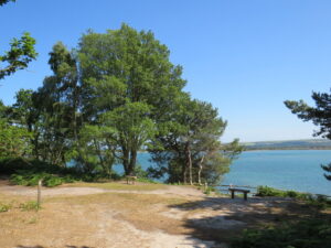 SZ0287 : Viewpoint on Brownsea Island