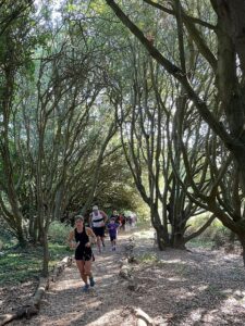 SZ0377 : Durlston Country Park parkrunners