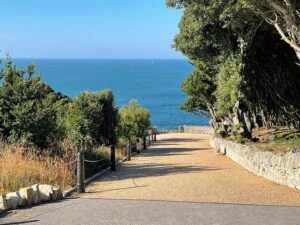 SZ0377 : Tilly Whim Road