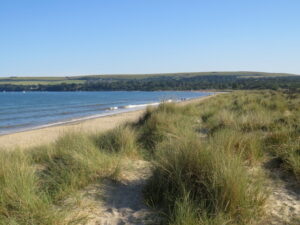 SZ0384 : Dunes at Studland Beach