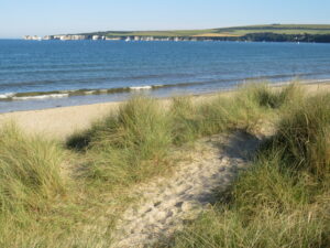 SZ0384 : Dunes at Studland Beach