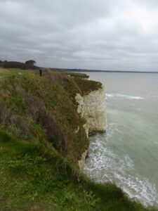 SZ0582 : Cliffs south of Old Harry Rocks (2)