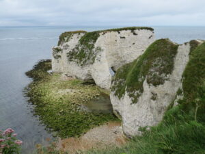 SZ0582 : Old Harry Rocks, near Swanage