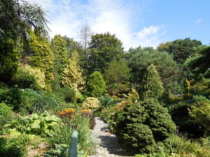 SZ0589 : Compton Acres Gardens