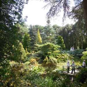 SZ0589 : Compton Acres Gardens