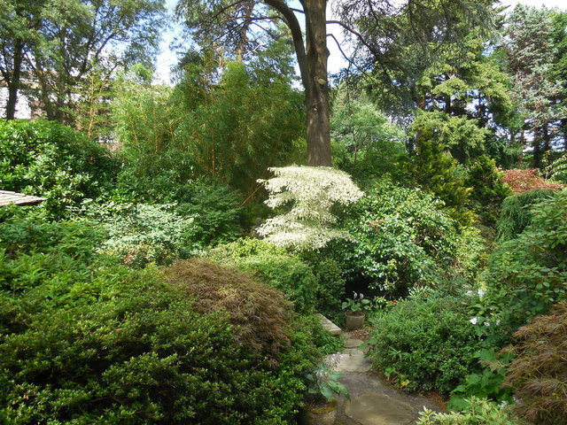 SZ0589 : Heather Garden, Compton Acres