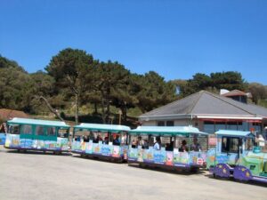 SZ0790 : Land Train at Durley Chime