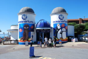 SZ0890 : The Bournemouth Oceanarium (1)