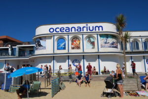 SZ0890 : The Bournemouth Oceanarium (2)