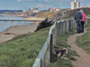 SZ1291 : Overlooking Boscombe Beach