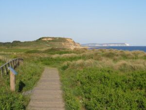 SZ1590 : Boardwalk towards Hengistbury Head, near Christchurch