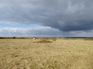 SZ1690 : Hengistbury Head: Barn Field