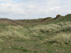 SZ1690 : Hengistbury Head - Double Dykes