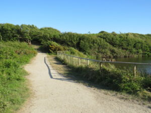 SZ1790 : Path on Hengistbury Head, near Christchurch