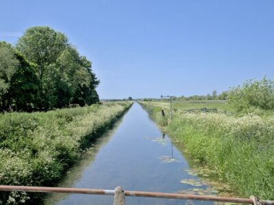 Deep Sea Adventure & Sharky's Play Zone