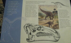 TL4558 : Iguanodon at the Sedgwick Museum