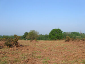 TQ3820 : Memorial Common