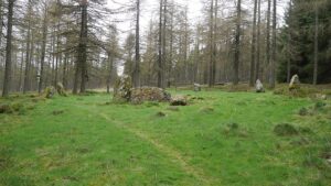 NO7291 : Nine Stanes