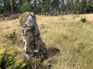 NO7291 : Stone, Nine Stanes