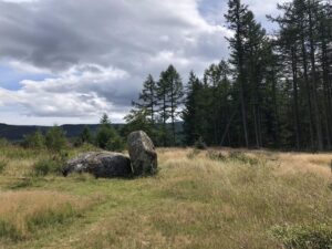 NO7291 : The Nine Stanes