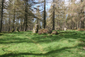 NO7291 : The Nine Stanes Recumbent Stone Circle (3)