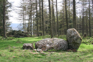 NO7291 : The Nine Stanes Recumbent Stone Circle (4)