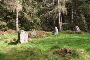NO7291 : The Nine Stanes Recumbent Stone Circle (5)