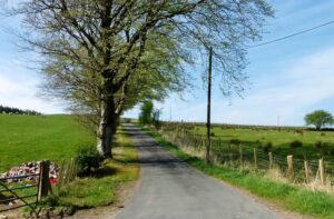 NS4011 : This Way to Carnochan Farm