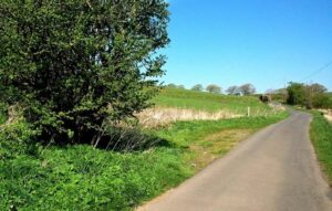 NS4111 : Farm Road Near Patna