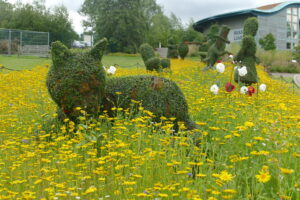 SE2853 : Cheshire Cat in the Wonderland Topiary Garden