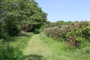 SJ8903 : Grassy track in Pendeford Mill Nature Reserve, Staffordshire