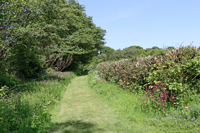 SJ8903 : Grassy track in Pendeford Mill Nature Reserve, Staffordshire