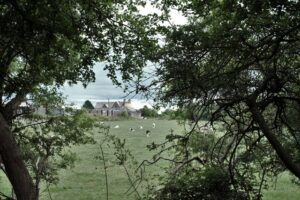 SO6906 : Poulton Court Farm