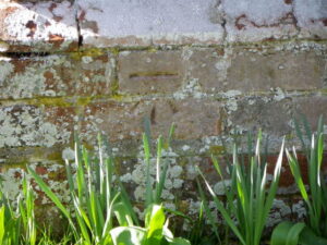 SU0611 : Bench Mark on the Lodge