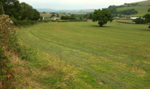 SX7264 : Field, Upper Dean