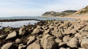 SY4291 : Seatown Beach and Golden Cap from East Ebb