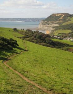 SY4391 : Path to Seatown