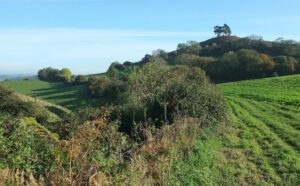 SY4393 : Path approaching Colmer's Hill