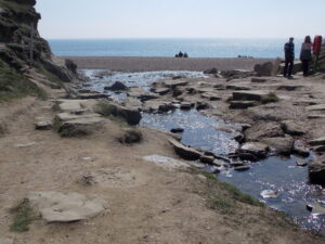 SY4491 : Eype: the stream meets the sea