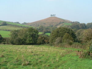 SY4492 : Symondsbury: fields below Colmer’s Hill