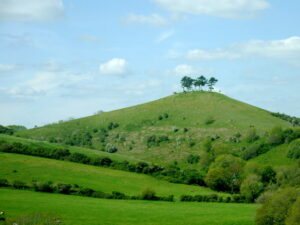 SY4493 : Colmer's Hill