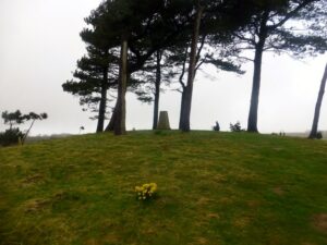 SY4493 : Colmer's Hill