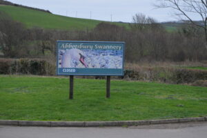 SY5784 : Abbotsbury Swannery