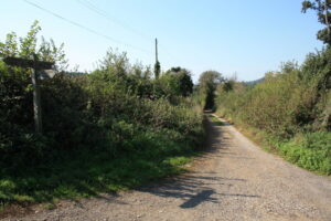 SY5785 : Bridleway,  Abbotsbury