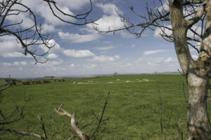 SY5787 : Kingston Russell stone circle