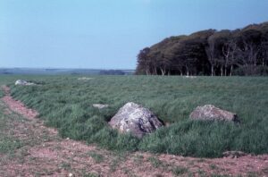 SY5787 : The Kingston Russell stone circle