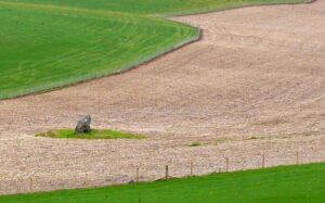 SY5791 : Standing Stone near Kingston Russell
